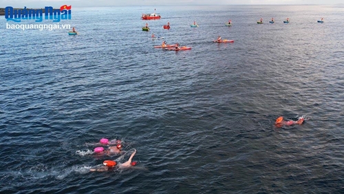 Giải bơi vượt biển ở Lý Sơn